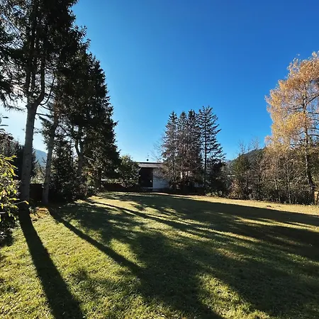 Waldnest - Seefeld *