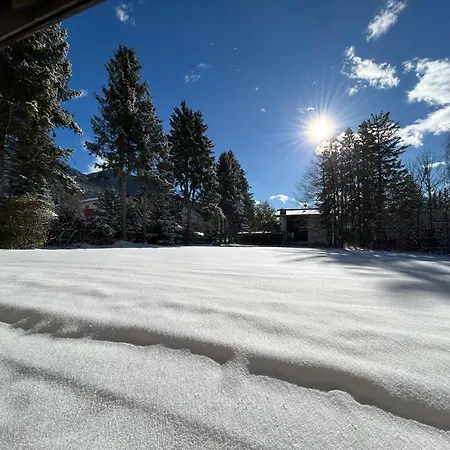 Waldnest - Seefeld *