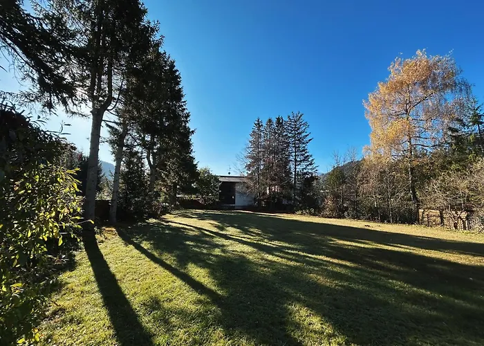 Waldnest - Seefeld *